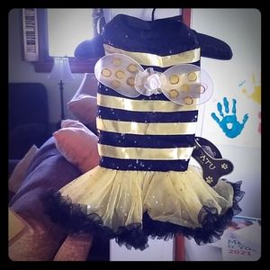 👻🐶🎃 BUMBLEBEE PET COSTUME medium NWT